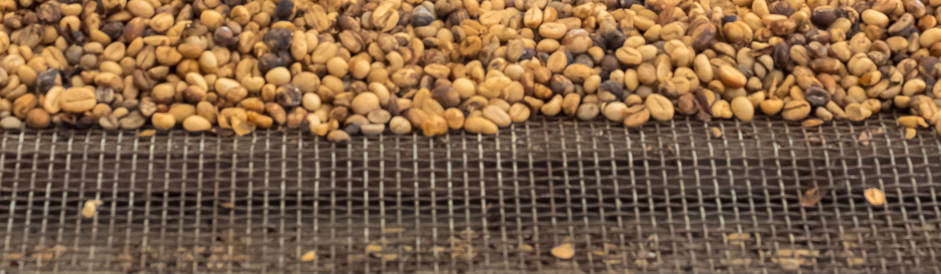 Coffee drying