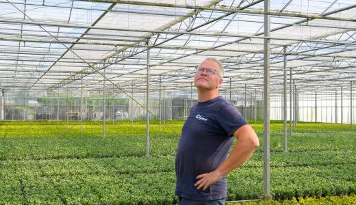 PhormiTex Lumina 50 O - AVplant