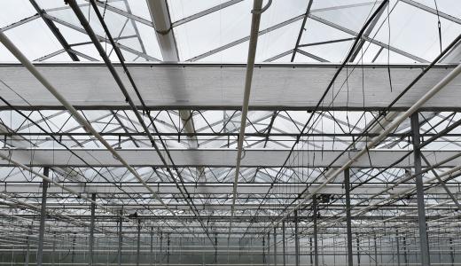 PhormiTex 55 - Impaflor