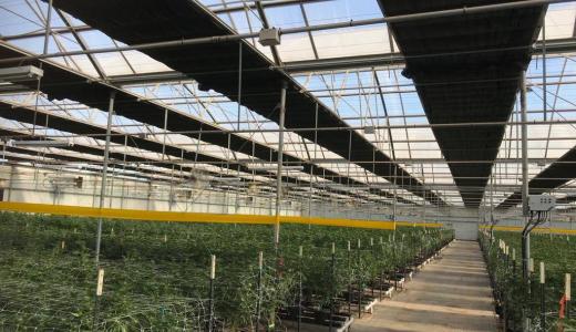 PhormiTex Eclipse Dry - Active Humidity Control